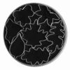 Cookie Cutter Autumn Leaves – CT90507S