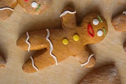 Gingerbread Man Cookie Cutter – CT99303S 9 Gingerbread Man Cookie Cutter – CT99303S -Emerilairfryer 360 Store cat gingerbread