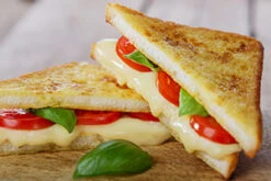 Woodson Toaster Griller Multi-Function – W.GTQI4 -Emerilairfryer 360 Store cat sandwich toasters a