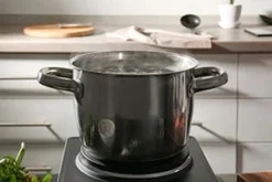 Roband Boiling Hot Plate Double 5 Roband Boiling Hot Plate Double -Emerilairfryer 360 Store cat steamer 1