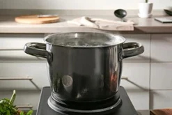 Roband Boiling Hot Plate Single 5 Roband Boiling Hot Plate Single -Emerilairfryer 360 Store cat steamer